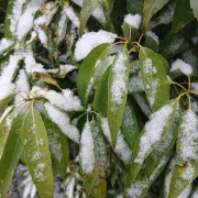 2026.02.08����ʿ�