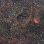 のんたの星のブログ