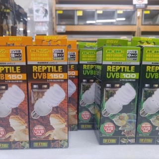 爬虫類倶楽部仙台店ブログ