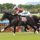 【競馬予想】[5] 第86回菊花賞(GⅠ) /2025