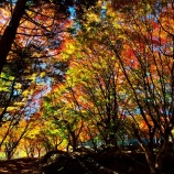 『2025『越畑ふるさと村』哀愁漂う風景❶ 岡山県苫田郡鏡野町』の画像