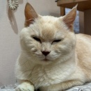 ☆ちゃんと聞こえておるぞ・・・
