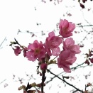 1月18日(日) (^O^)／