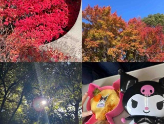 2025年12月　楽天セール、お買い物マラソンで買うもの買ったもの