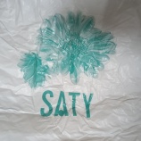 ¡ØSATY¤Î¥ì¥¸Âޡ٤βèÁü