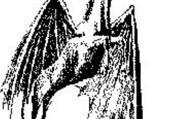 ジャージー デビル 世界のuma 合気道月光流道場長 チョコ助と伊東健治の公式ブログ 骸 むくろ をつけていま一戦 ひといくさ せん