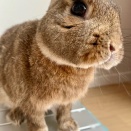 お気に入りポイント