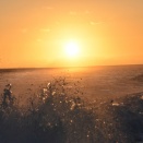 「不良老人」が実現したこと－今思うと楽しかった石垣島①