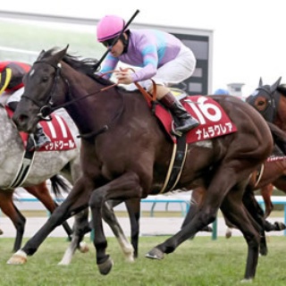 ☆うまなみ・競馬にゅーす速報