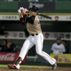 日ハム王柏融 .304 1本 12打点 	