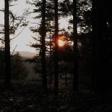 『前女峰山 女峰山で体力測定2010』の画像