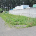2025年5月27日　木くず破砕施設「あじさい」　草刈