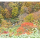 令和８年度料金改定のお知らせ