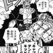 ワンピース 1013話感想 ルフィvs四皇カイドウ 決着か ルフィとワノ国の運命は 最強ジャンプ放送局