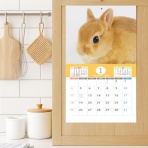 うさぎブログ　うさぎのしっぽ公式ブログ「日々しっぽ」