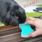 ぶ〜に〜の暮らし