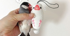 疲れた時は文鳥もみもみマスコット