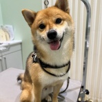 山梨県　中央市　ワンラブ　イオンタウン山梨中央店のブログ