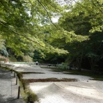 「藍川京」の部屋
