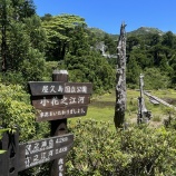 �ز���������2025 vol.4 ���⤭���ԡ������л��������Ƿ���Ϥޤǡ٤β���