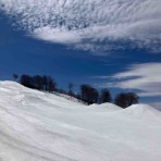 渋谷で働くスノーボーダー
