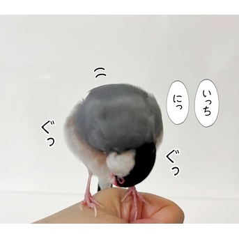 セラのスタイル維持法