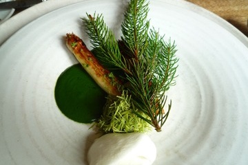 《レビュー》美味しさの脳科学 においが味わいを決めている（ゴードン・M・シェパード）ヒトはどのように味を感じるか