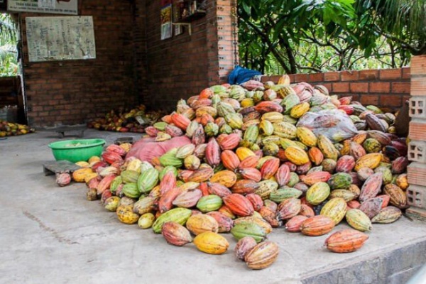 菓子パン料理大好きパパのblog