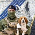 フランス陸軍第132陸軍犬大隊が新たな取り組みを開始…新犬種にビーグル犬を採用！