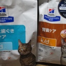 基本に戻る