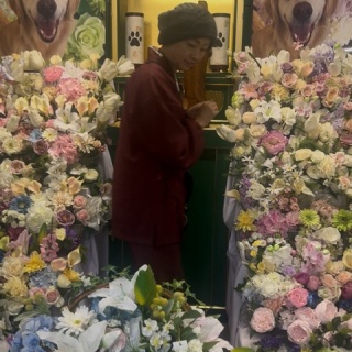 NPO法人ペット里親会