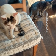 薬が切れそう。と、和紙のラムネ瓶つくりました。