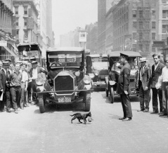 外国人「100年前(1925年)の様子が窺える写真を貼っていく」海外のまとめ