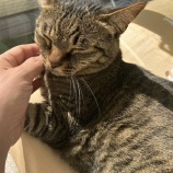 【不整脈が出てしまった】