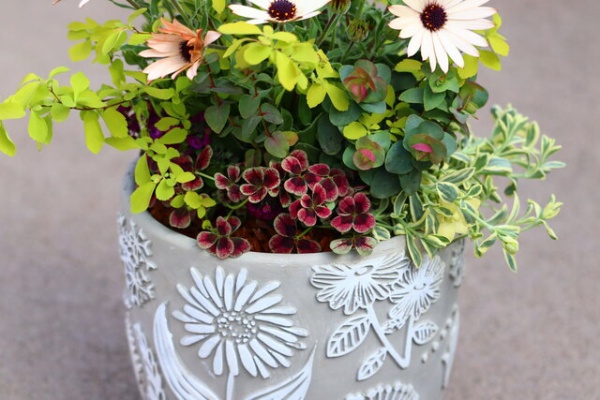 モナガーデン 中西園芸のblog 21