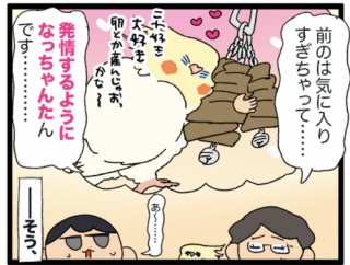 愛鳥さんのおもちゃ探しって、難しいよね