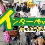 メルロコ一家の横須賀ストーリー