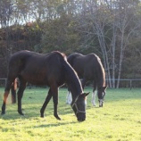 『変わらない』の画像