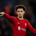 【海外の反応】リヴァプールで最も過小評価を受けてる選手ｗｗｗｗｗｗｗｗｗｗ