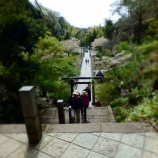 ��4��12����������衪�����ҥ��󥰥ȥ쥤��ĥ����٤β���