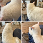 ＊実家の片付けと小さな店の始まり36話 カフェトレイを作る①