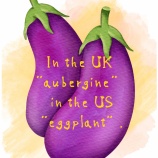 『In the UK “aubergine” but in the US“eggplant”.（イギリスでは「aubergine」アメリカでは「eggplant」。）』の画像