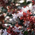 人の視点・虫の視点