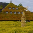 驚きの連続「ラ コリーナ」