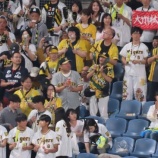 『暴力団はプロ野球を見てはいけない、という事実。』の画像