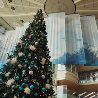 Blue is the colour  Football is the game