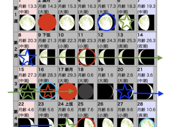 2026年2月の自然観察日