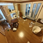 うちのとらまる