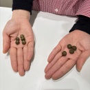 うんち対決☆開催中