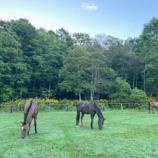 『危険な暑さ』の画像